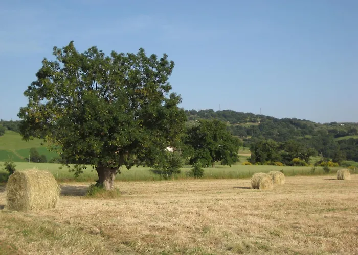 Agriturismo Il Cavallino