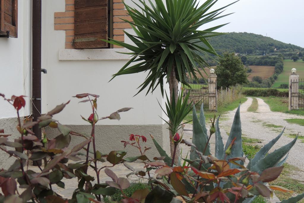 Il Cavallino * Semproniano