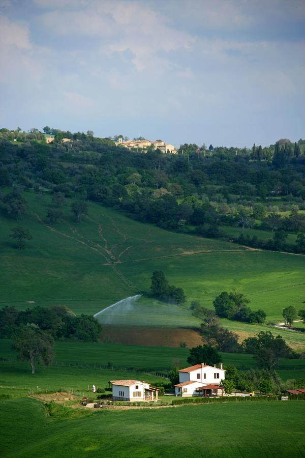 Il Cavallino
