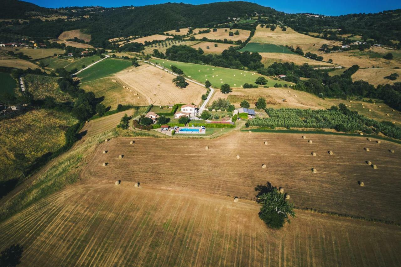 Il Cavallino * Semproniano